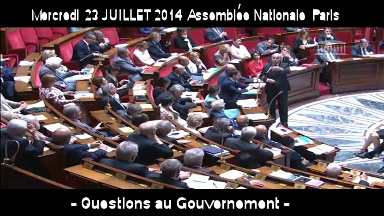 TVBordeaux33 Manifestation à l'appel du cap comité action palestine palestine 33 la ligue des droits de l'homme