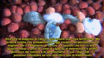 Cos'è il Cancro