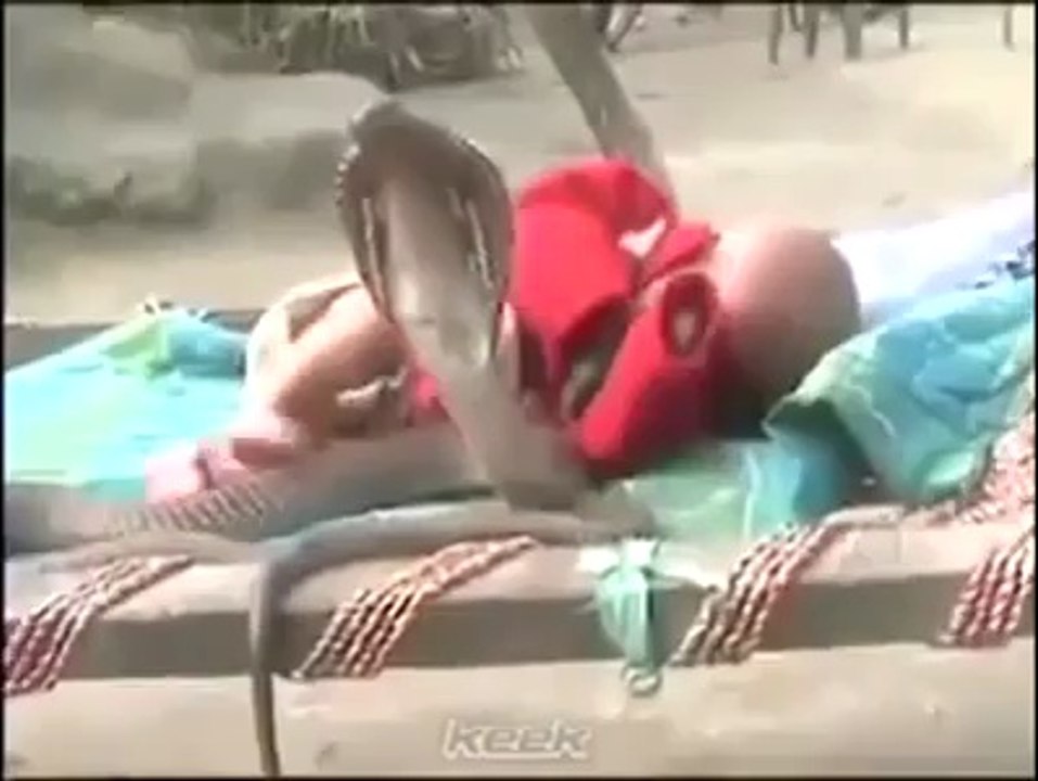 BEBE  JUGANDO CON COBRA