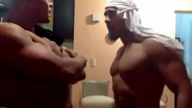 pelea de hombres Perras que ladran y muerden