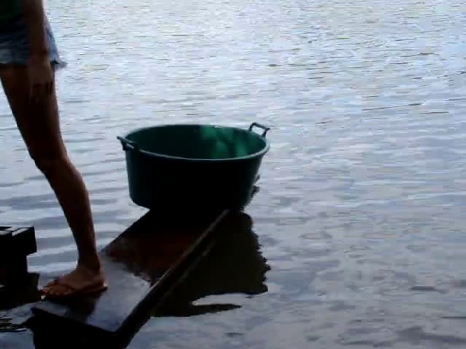 Pêcher des piranhas facilement