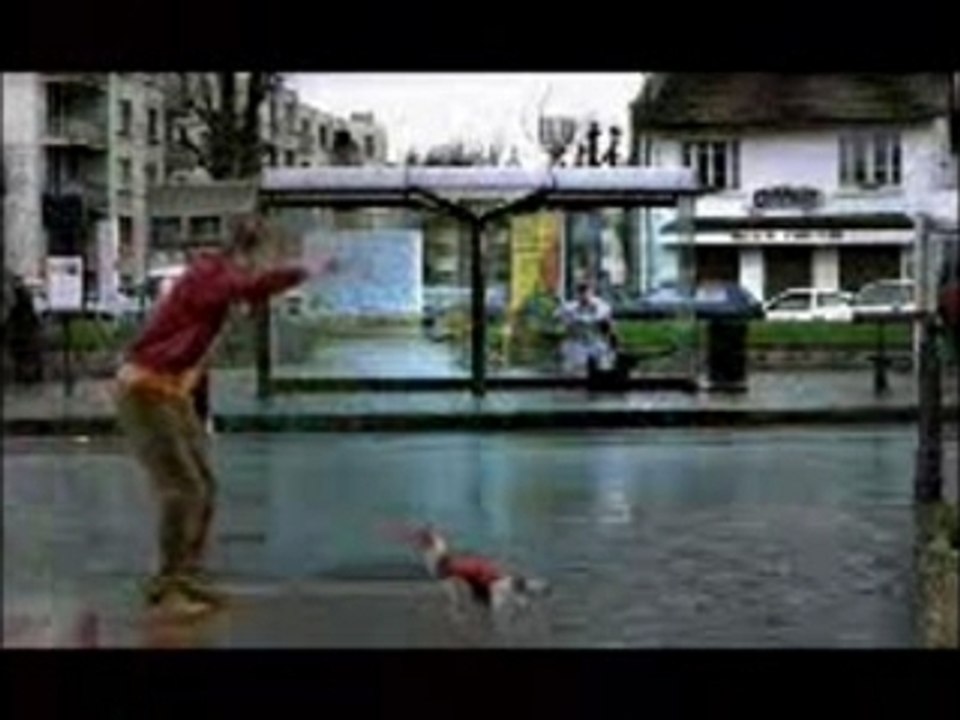 haha pauvre chien