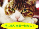★猫でも簡単操作「マイホーム探し」スマホ専用サイト★おうちナビ★