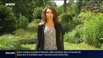 L'été de Fanny: Pourquoi le moustique-tigre est-il dangereux ? - 27/07