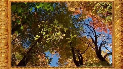 Allahın isimləri- Ədl ( Adil olan,ədaləti əmr edən)  (1080p)