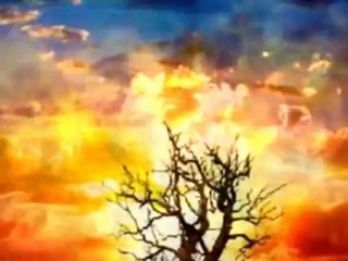 Copy of UNSUNG HEROES