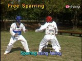 Taekwondo Step by Step Ep152