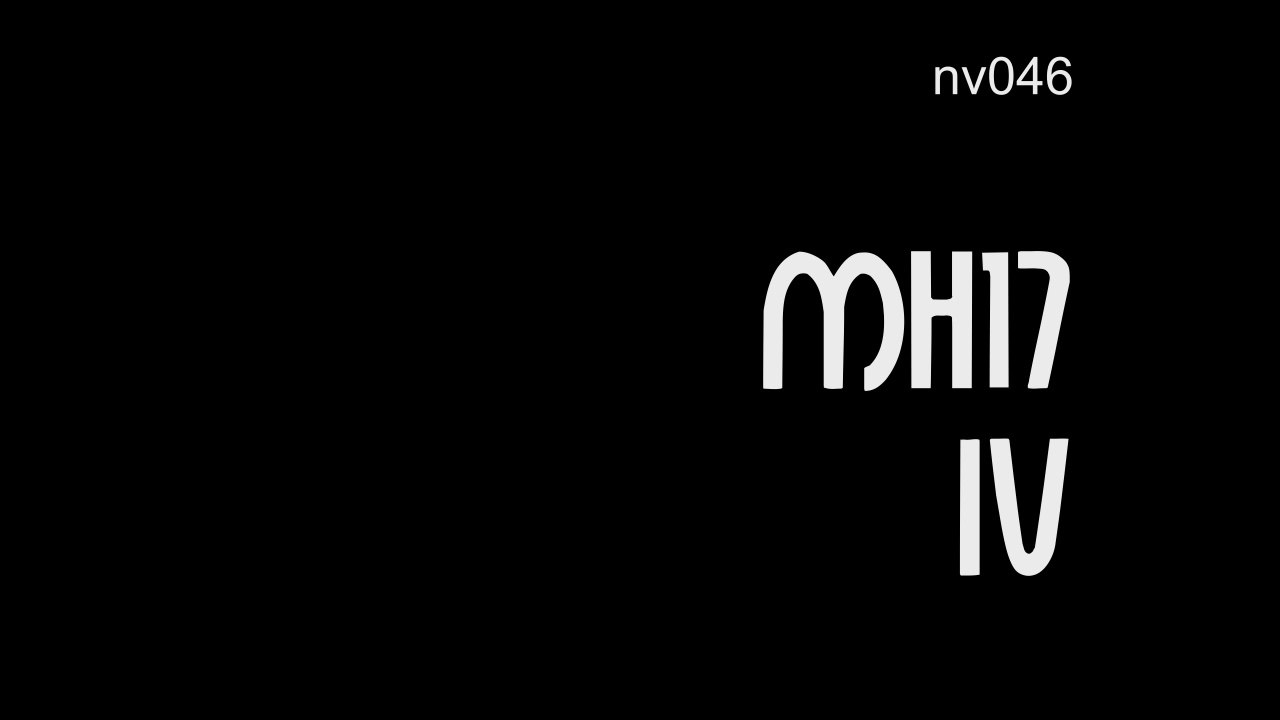 nv046 MH17 IV