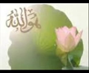 Report Of Nasa About Universal ..By   Maulana Tariq Jameel Sahab