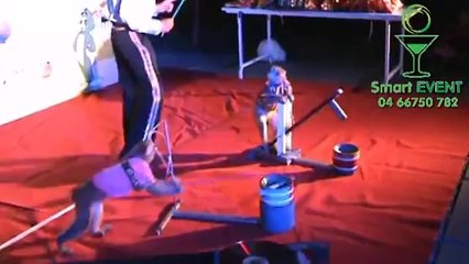 Thuê dịch vụ xiếc khỉ, xiếc chó, xiếc trăn. - YouTube