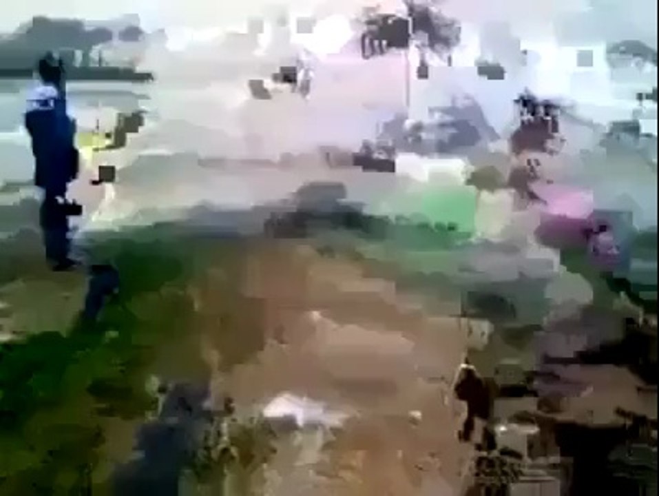 how to play polo with donkey.