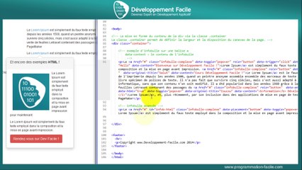 Les options avancées des infosbulles tooltip avec le Framework BootStrap 3