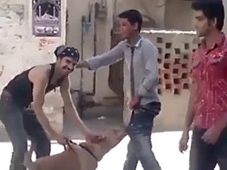 dog bite amazing dog video