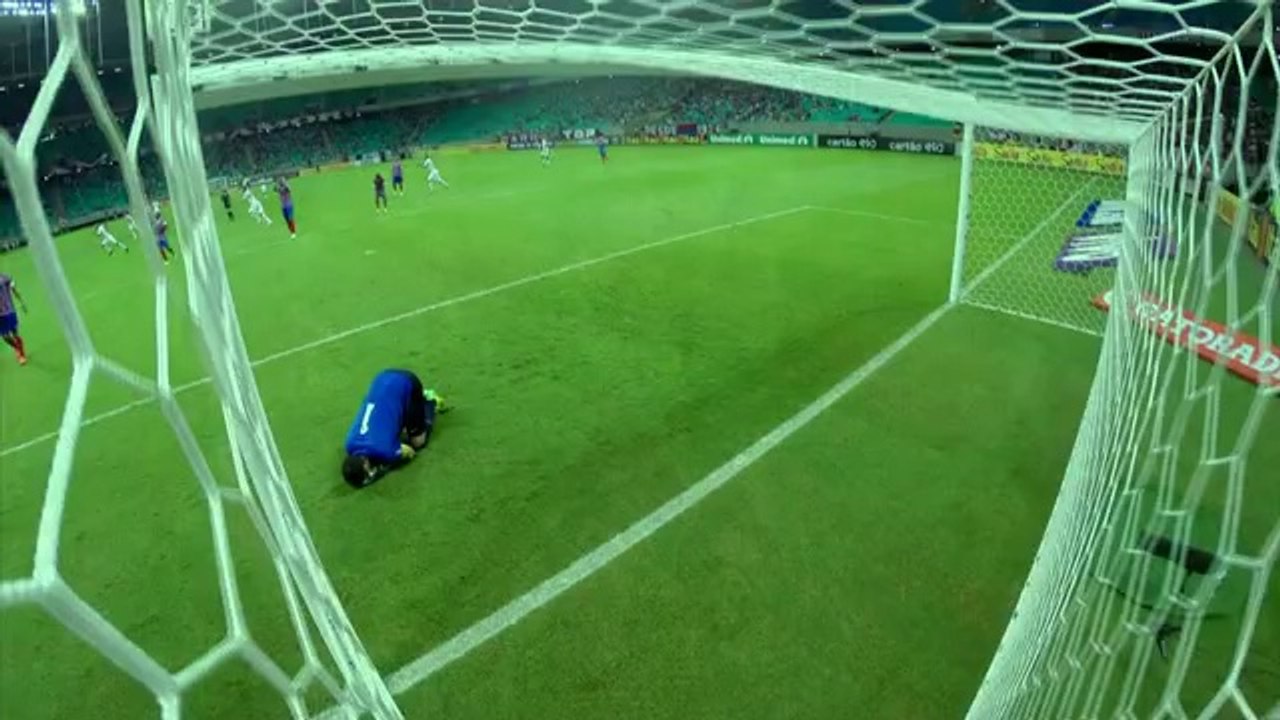 Goleiro com luva ensaboada / BAHIA 0 X 1 INTERNACIONAL / 2014