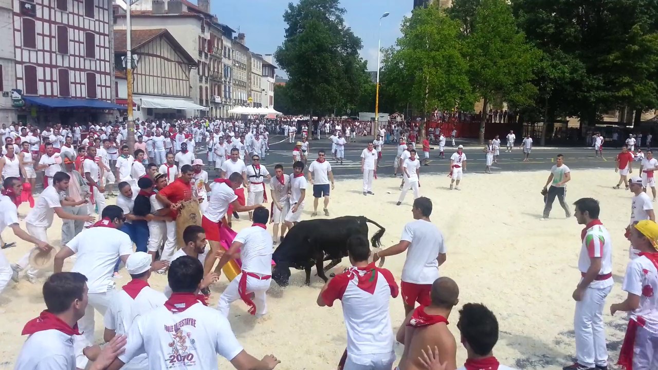 Comment parler des fêtes de Bayonne sans parler des courses de vaches ?