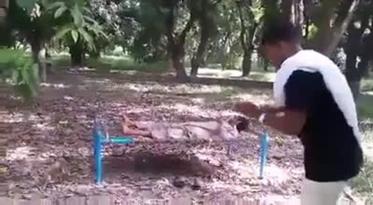 make fun with friend.
