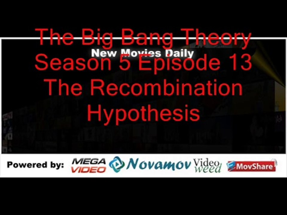 The Big Bang Theory Season 5 Episode 13 – The Recombination Hypothesis