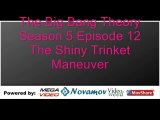 The Big Bang Theory Season 5 Episode 12 – The Shiny Trinket Maneuver