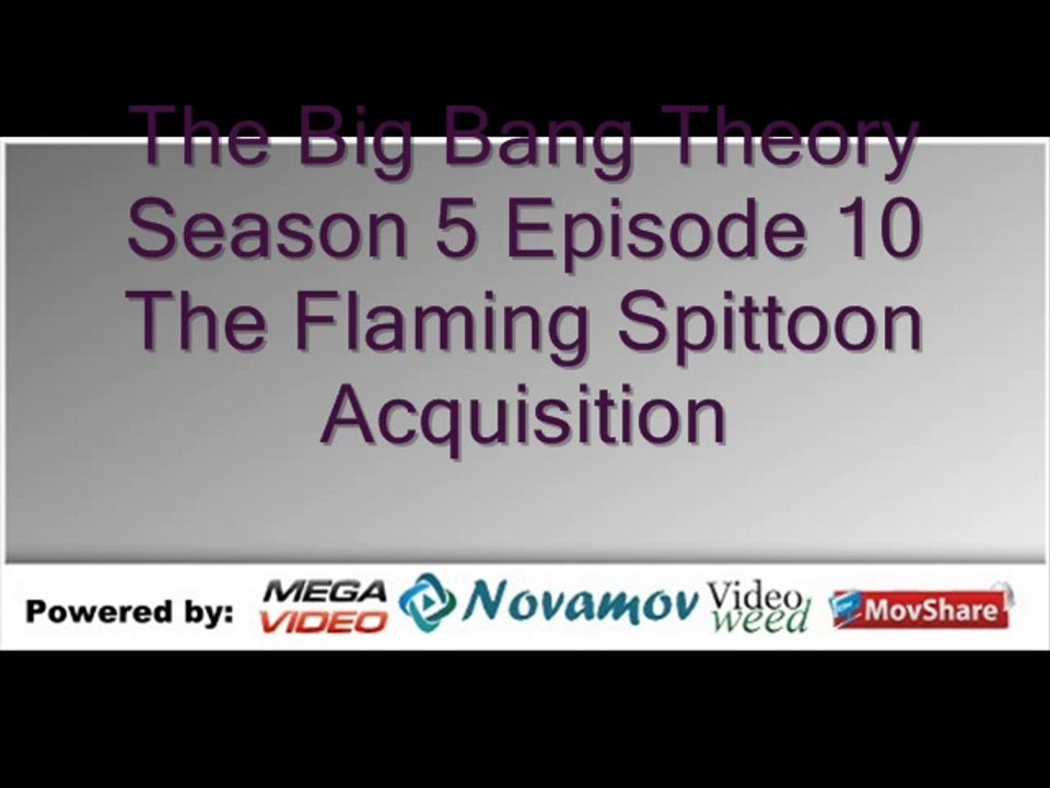 The Big Bang Theory Season 5 Episode 10 – The Flaming Spittoon Acquisition