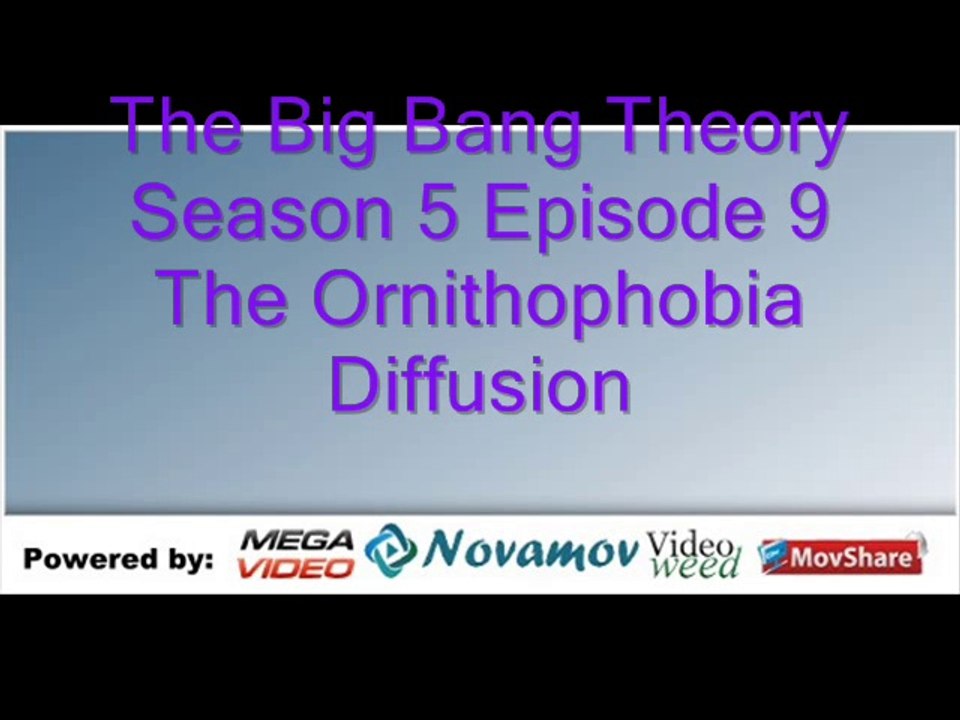 The Big Bang Theory Season 5 Episode 9 – The Ornithophobia Diffusion