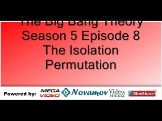The Big Bang Theory Season 5 Episode 8 – The Isolation Permutation