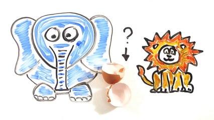 Which Came First - The Chicken or the Egg