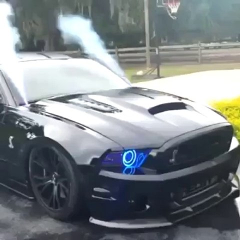 Cobra