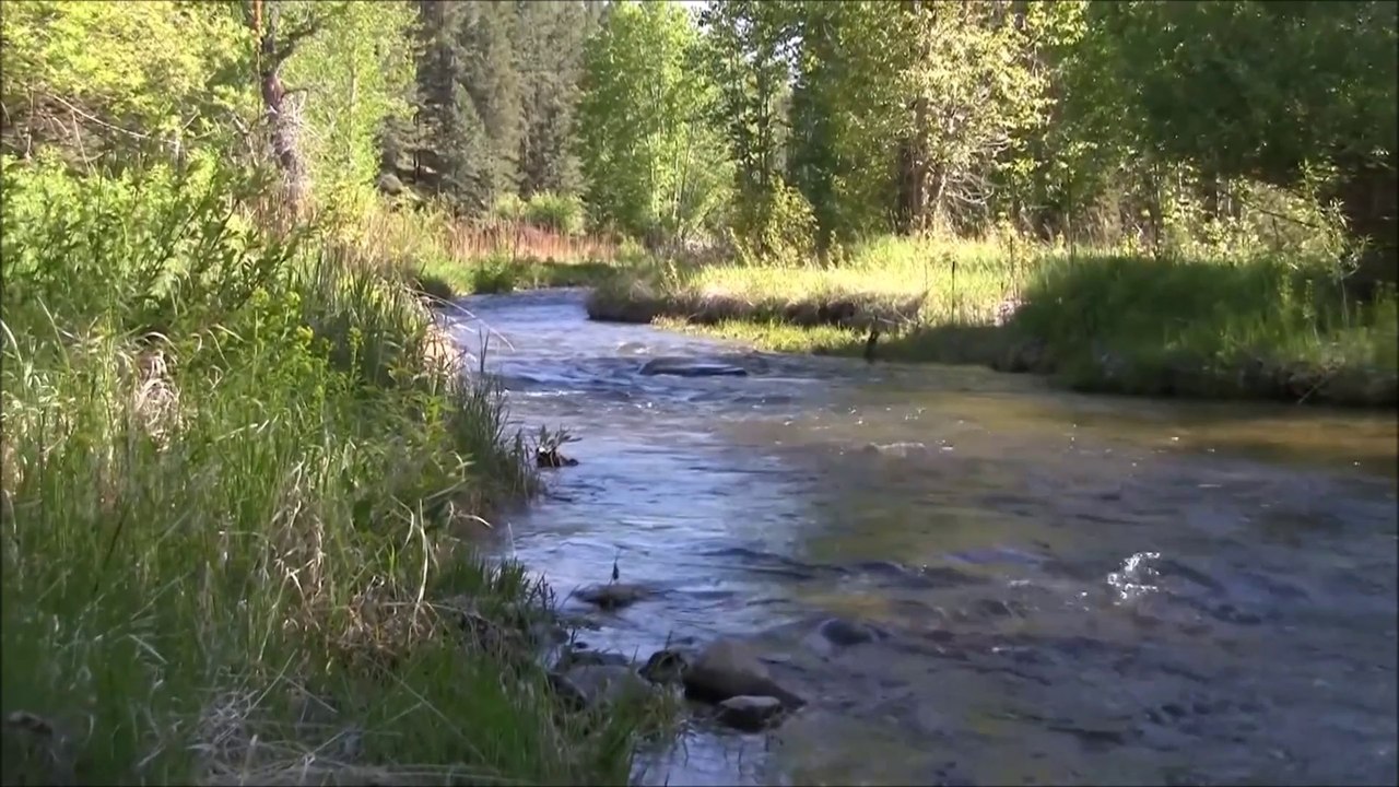 Montana Ranch