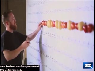 Charge Your Mobile Phone With Apples And Potatoes