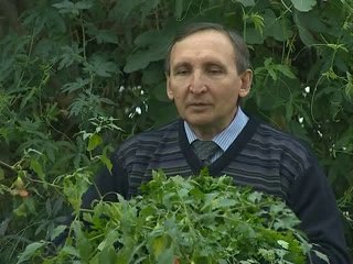 осень в саду 24.11