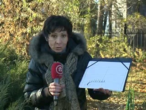 осень в саду-виноград 10.11