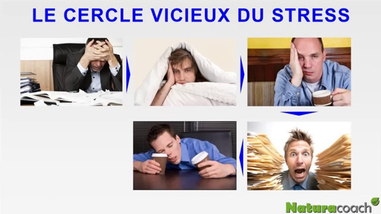 Le café est-il bon pour la santé  tout savoir sur le café