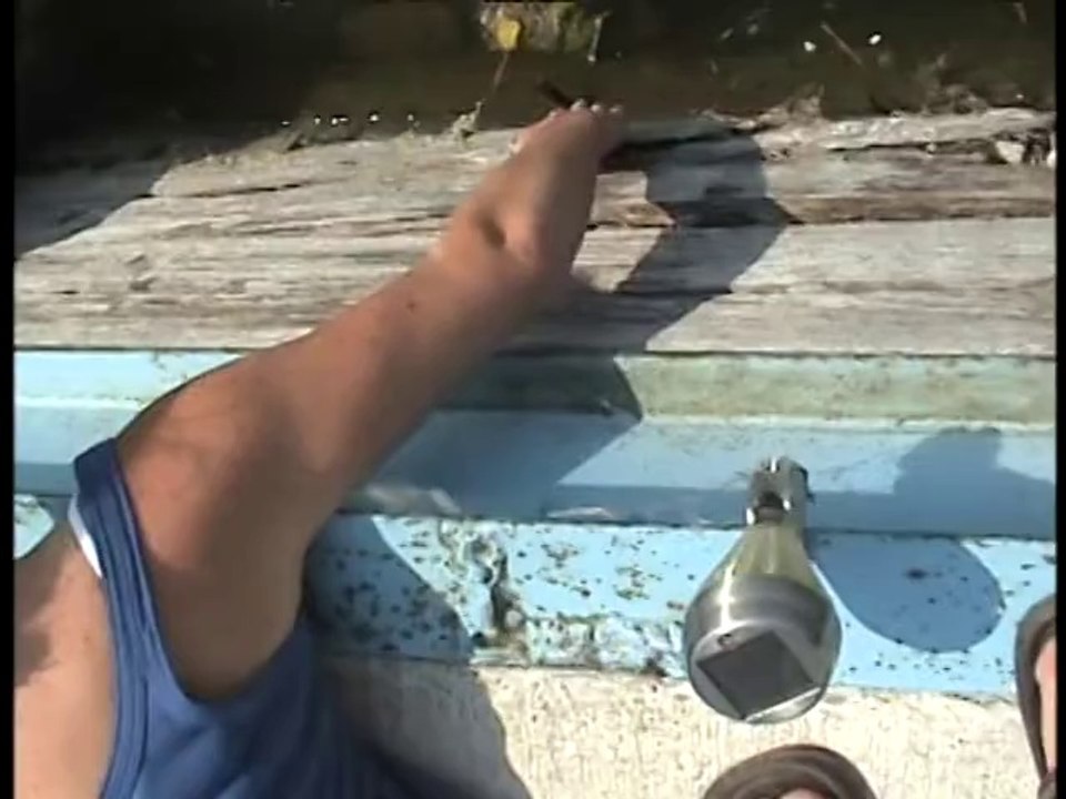 Lady Catches A Ton Of Snakes