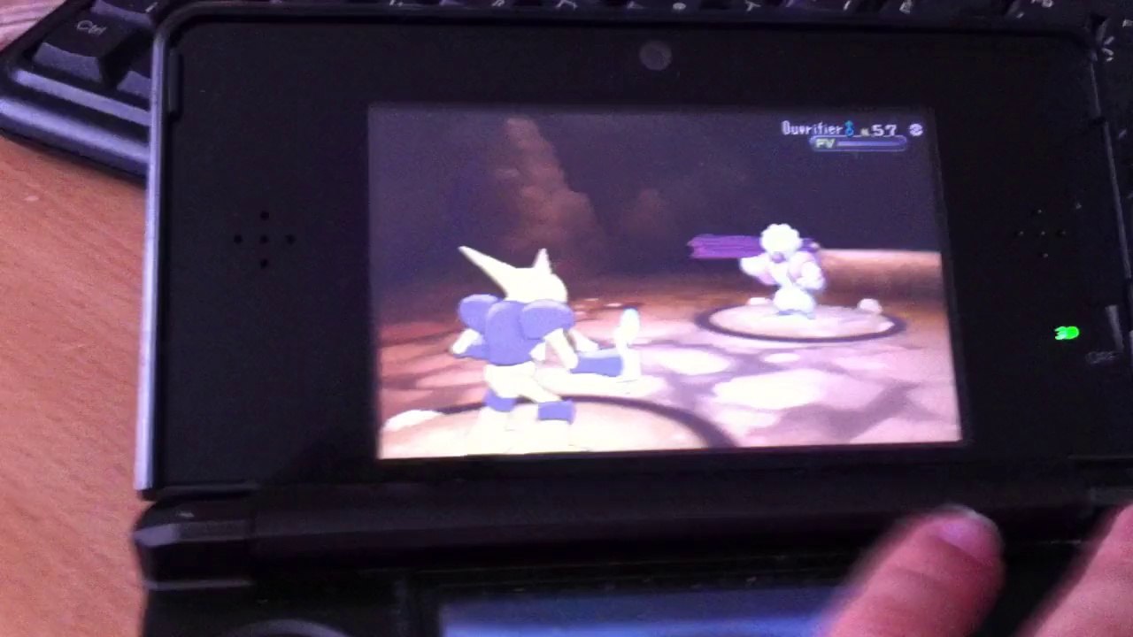 petit combat pokemon
