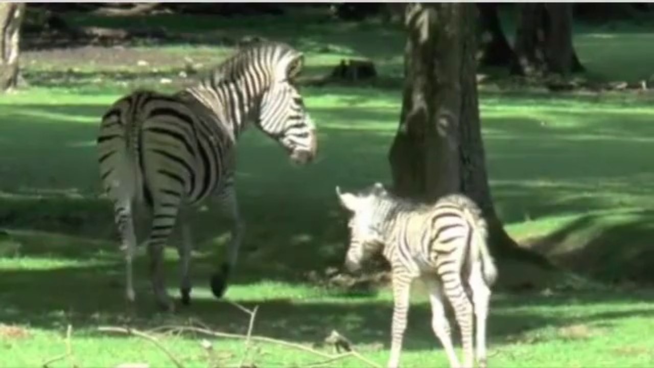 Un peu d'air pour Dame Nature