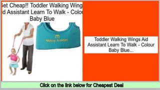 Best Price Toddler Walking Wings Aid Assistant Learn To Walk - Colour Baby Blue