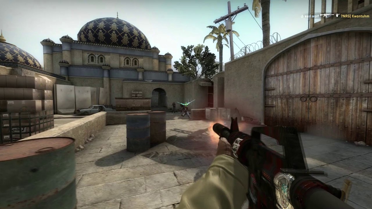 CSGO: dead dogs [ 5K | M4A1-S spraydown | ACE | headshots only ]