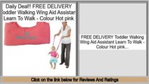 walking wings reviews