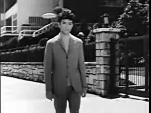 Ben Seni Unutmak İçin Sevmedim - Zeki Müren (Belgin Doruk & Zeki Müren)