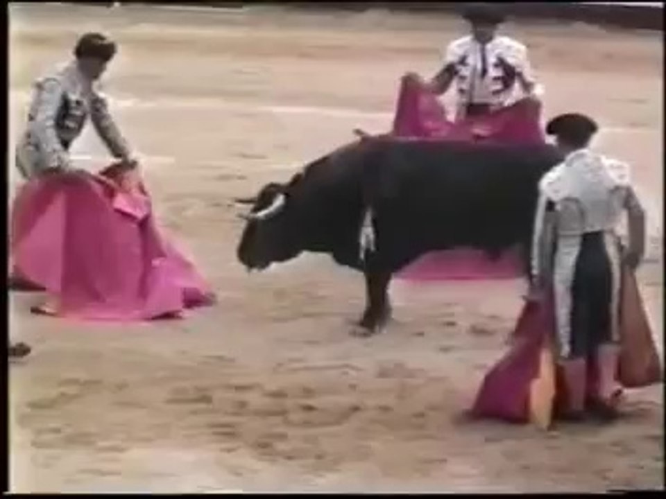 Corrida Béziers