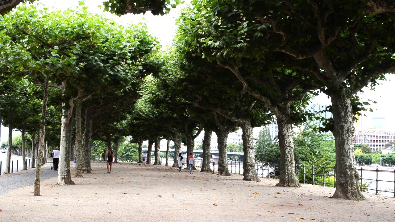 Frankfurt am Main, Germany