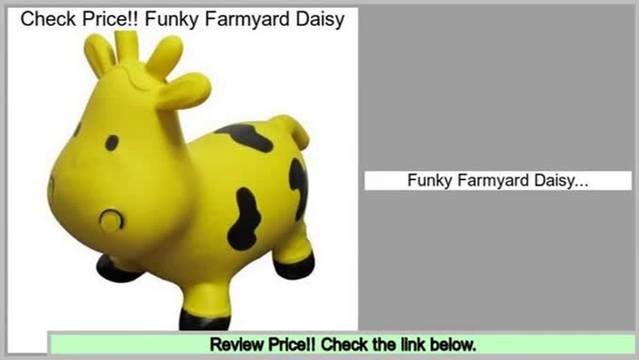 Clearance Funky Farmyard Daisy