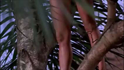 Quand les dinosaures dominaient le monde part 3