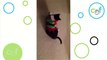 Santa's Little Helper _ Cute Cat Dressed as Elf