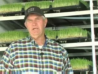 Fodder solutions  feed for all types of livestock