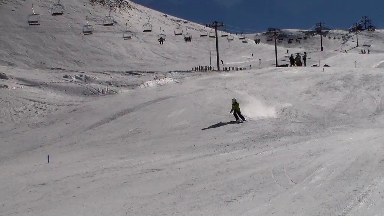 saavedra gs tortolas