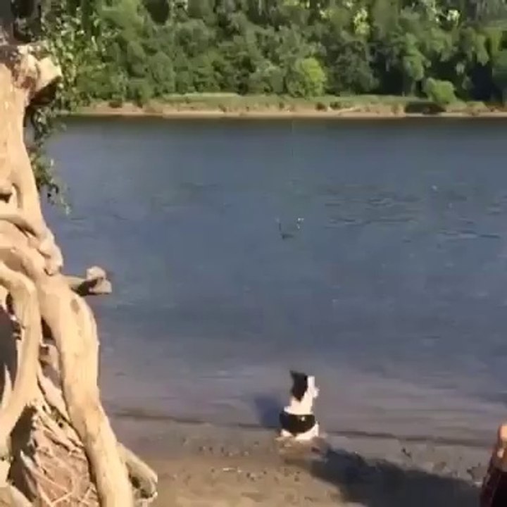 lol