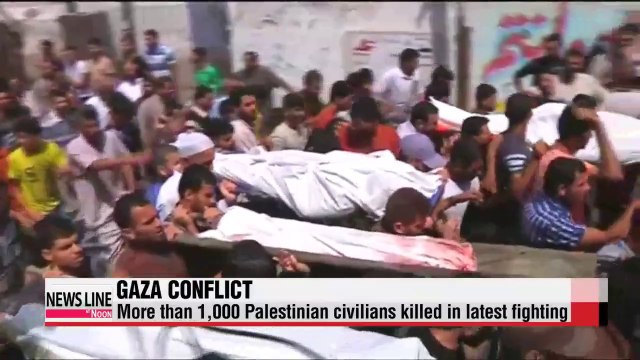 Fighting continues in Gaza, despite ceasefire calls