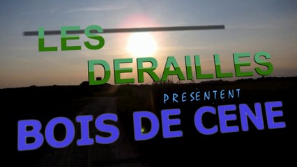 BOIS DE CENE - 2014
