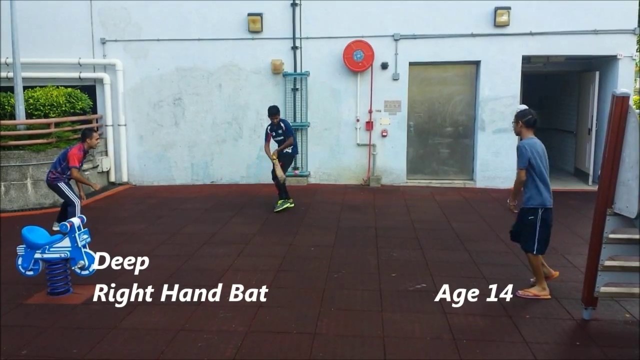 Backyard Cricket 2014